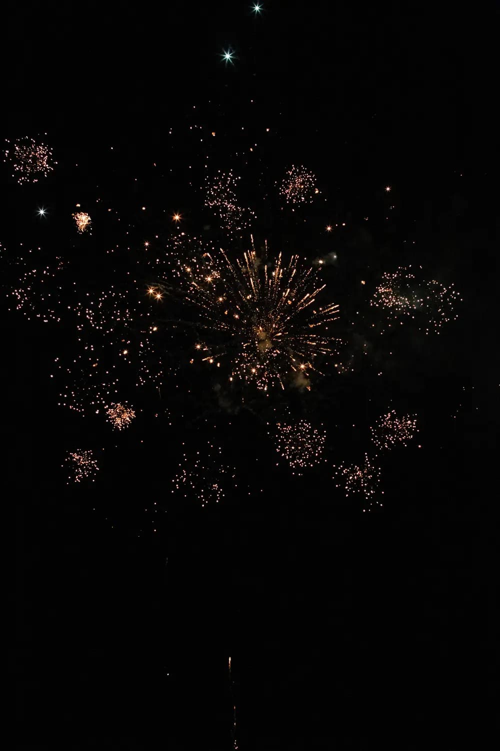 feux d_artifice, un été aux jardins du monde, ciquième soirée 2